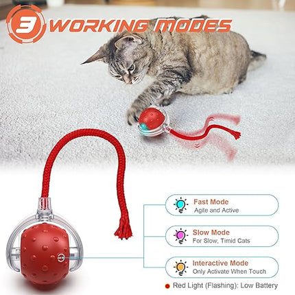 Cat Ball Toy, Electric Automatic Cat Toy for Home Cats (Multicolor)